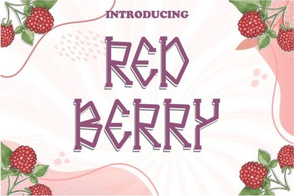Redberry: A Designer's Honest Review for Real-World Projects